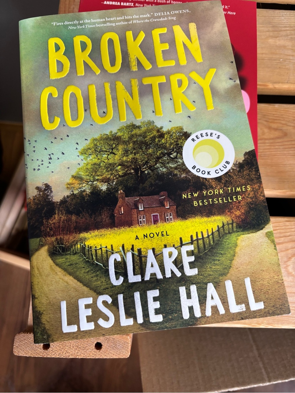 “Broken Country” 📖